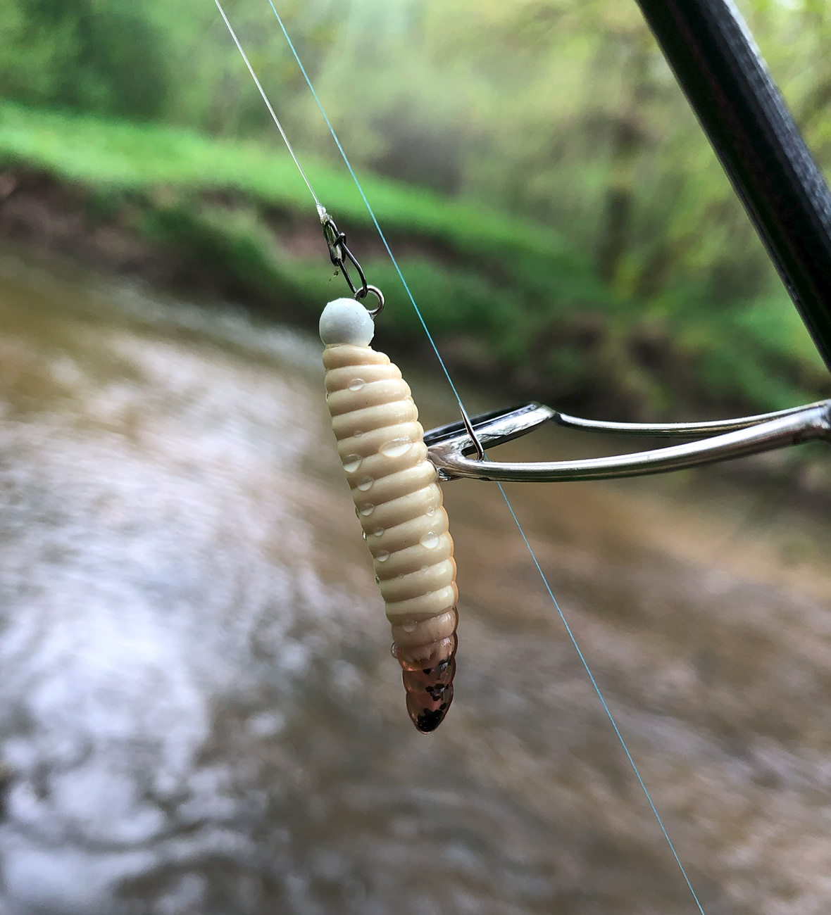 Приманки от Boroda Baits в ловле белого хищника