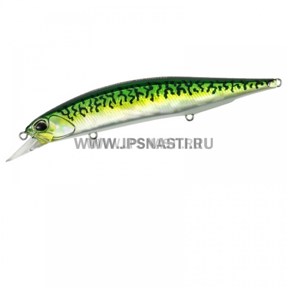 Воблер DUO Realis Jerkbait 120SP SW Limited, 17.9 гр, DAA0263