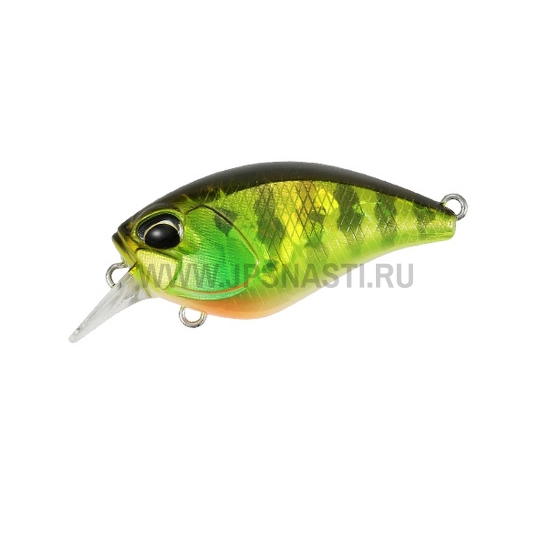 Воблер DUO Realis Crank MID Roller 40F, 5.3 г, AJA3055