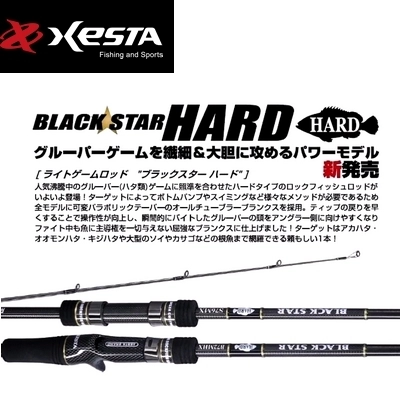 Кастинговые удилища Xesta Black Star Hard